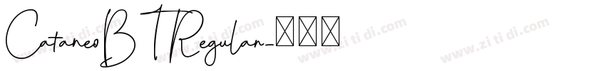 CataneoBT Regular字体转换